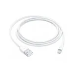 Apple Lightning to USB Cable