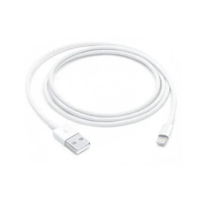 Apple Lightning to USB Cable