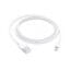 Apple Lightning to USB Cable