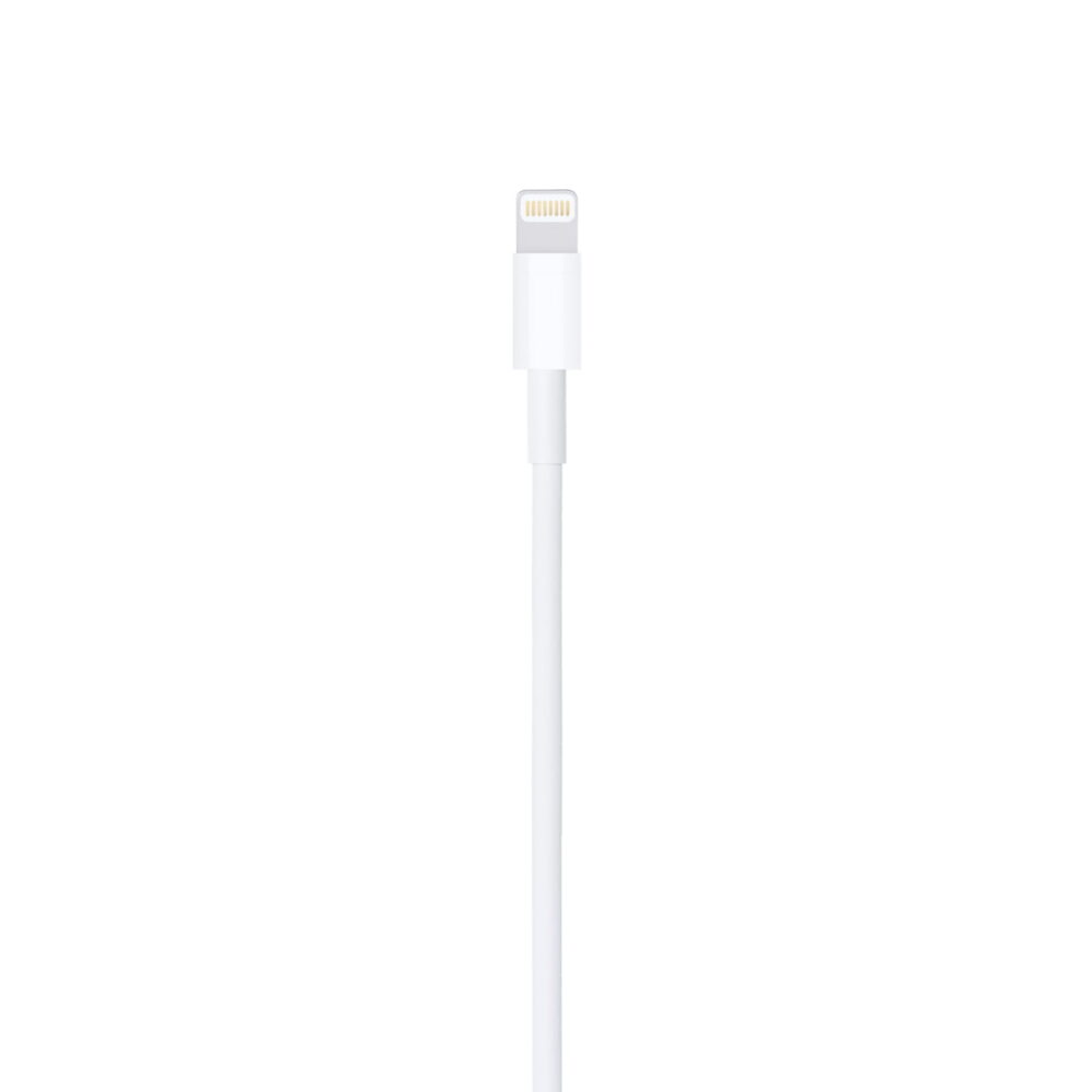 Apple Lightning to USB Cable