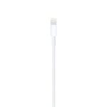 Apple Lightning to USB Cable