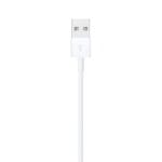 Apple Lightning to USB Cable