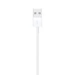 Apple Lightning to USB Cable